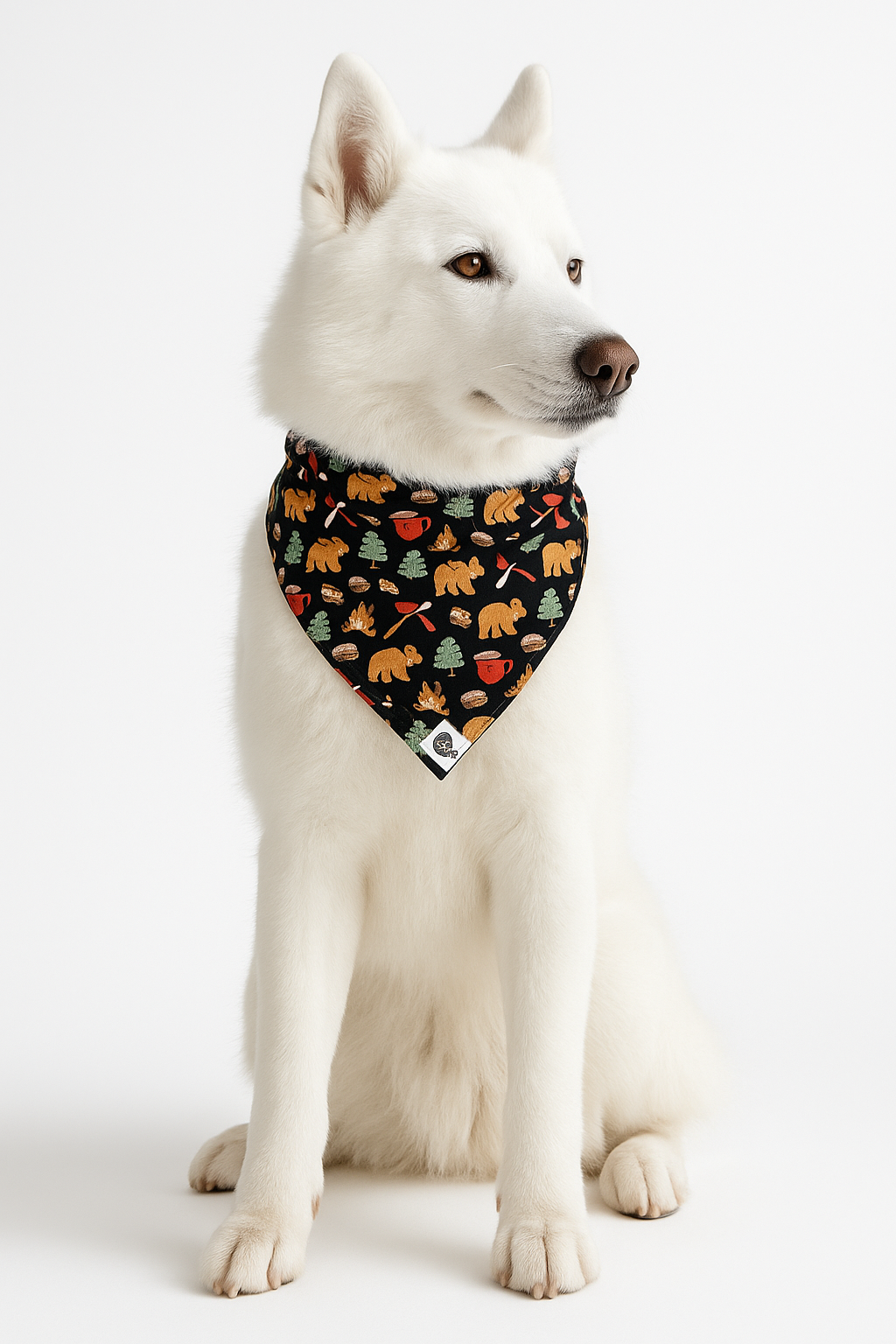 Campfire Bandana