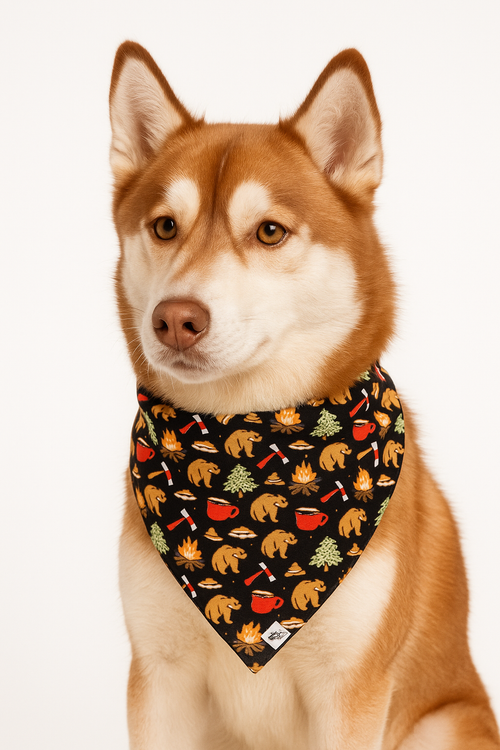 Campfire Bandana